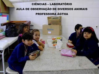CIÊNCIAS – LABORATÓRIO
AULA DE OBSERVAÇÃO DE DIVERSOS ANIMAIS
          PROFESSORA ÁGTHA
 