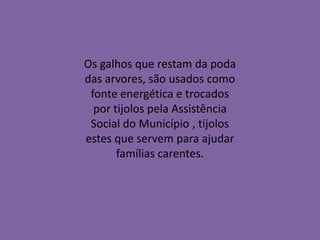 Os galhos que restam da poda
das arvores, são usados como
 fonte energética e trocados
  por tijolos pela Assistência
 Social do Município , tijolos
estes que servem para ajudar
       famílias carentes.
 