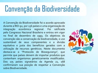 Convenção da Biodiversidade
A Convenção da Biodiversidade foi o acordo aprovado
durante a RIO-92, por 156 países e uma organização de
integração econômica regional. Foi ratificada
pelo Congresso Nacional Brasileiro e entrou em vigor
no final de dezembro de 1993. Os objetivos da
convenção são a conservação da biodiversidade, o uso
sustentável de seus componentes e a divisão
equitativa e justa dos benefícios gerados com a
utilização de recursos genéticos. Neste documento
destaca-se o "Protocolo de Biosegurança", que
permite que países deixem de importar produtos que
contenham organismos geneticamente modificados.
Dos 175 países signatários da Agenda 21, 168
confirmaram sua posição de respeitar a Convenção
sobre Biodiversidade.
 