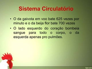 Sistema Circulatório
• O da gaivota em voo bate 625 vezes por
  minuto e o da beija flor bate 700 vezes
• O lado esquerdo do coração bombeia
  sangue para todo o corpo, o da
  esquerda apenas pro pulmões.
 