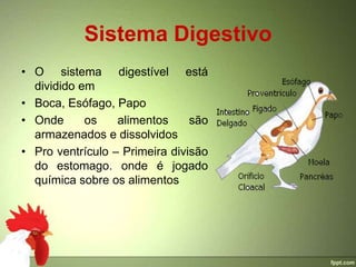 Sistema Digestivo
• O sistema digestível está
  dividido em
• Boca, Esófago, Papo
• Onde      os    alimentos     são
  armazenados e dissolvidos
• Pro ventrículo – Primeira divisão
  do estomago. onde é jogado
  química sobre os alimentos
 