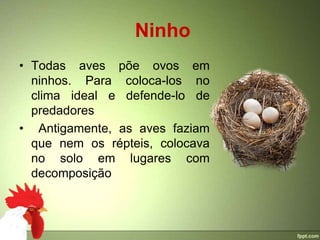 Ninho
• Todas aves põe ovos em
  ninhos. Para coloca-los no
  clima ideal e defende-lo de
  predadores
• Antigamente, as aves faziam
  que nem os répteis, colocava
  no solo em lugares com
  decomposição
 