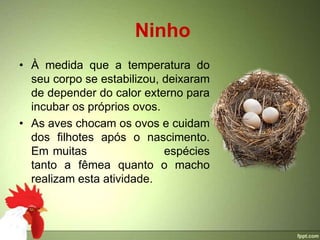 Ninho
• À medida que a temperatura do
  seu corpo se estabilizou, deixaram
  de depender do calor externo para
  incubar os próprios ovos.
• As aves chocam os ovos e cuidam
  dos filhotes após o nascimento.
  Em muitas                 espécies
  tanto a fêmea quanto o macho
  realizam esta atividade.
 