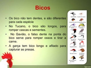 Bicos
• Os bico não tem dentes, e são diferentes
  para cada espécie
• No Tucano, o bico são longos, para
  romper cascas e sementes.
• No Gavião, o falso dente na ponta do
  bico serve para romper ossos e tirar a
  carne.
• A garça tem bico longo e afilado para
  capturar as presas.
 