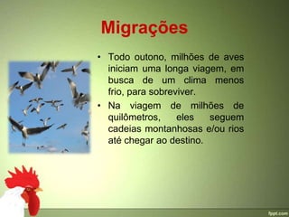 Migrações
• Todo outono, milhões de aves
  iniciam uma longa viagem, em
  busca de um clima menos
  frio, para sobreviver.
• Na viagem de milhões de
  quilômetros,     eles  seguem
  cadeias montanhosas e/ou rios
  até chegar ao destino.
 