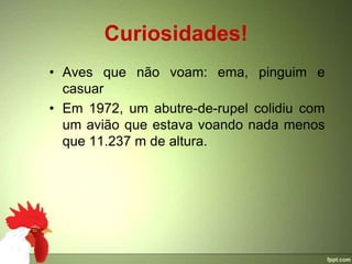 Curiosidades!
• Aves que não voam: ema, pinguim e
  casuar
• Em 1972, um abutre-de-rupel colidiu com
  um avião que estava voando nada menos
  que 11.237 m de altura.
 