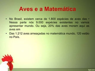 Aves e a Matemática
• No Brasil, existem cerca de 1.800 espécies de aves das •
  Nessa parte nós 9.000 espécies existentes no vamos
  apresentar mundo. Ou seja, 20% das aves moram aqui as
  aves em
• Das 1.212 aves ameaçadas no matemática mundo, 120 estão
  no País.
 