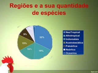 Regiões e a sua quantidade
       de espécies
 