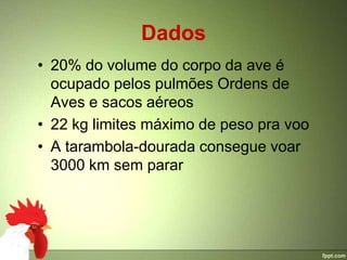 Dados
• 20% do volume do corpo da ave é
  ocupado pelos pulmões Ordens de
  Aves e sacos aéreos
• 22 kg limites máximo de peso pra voo
• A tarambola-dourada consegue voar
  3000 km sem parar
 