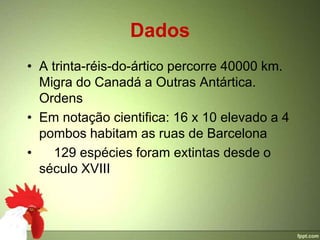Dados
• A trinta-réis-do-ártico percorre 40000 km.
  Migra do Canadá a Outras Antártica.
  Ordens
• Em notação cientifica: 16 x 10 elevado a 4
  pombos habitam as ruas de Barcelona
•    129 espécies foram extintas desde o
  século XVIII
 