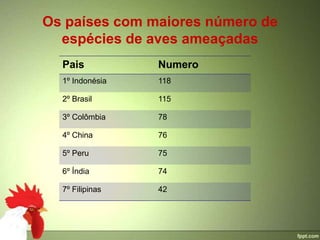 Os países com maiores número de
  espécies de aves ameaçadas
  Pais           Numero
  1º Indonésia   118

  2º Brasil      115

  3º Colômbia    78

  4º China       76

  5º Peru        75

  6º Índia       74

  7º Filipinas   42
 