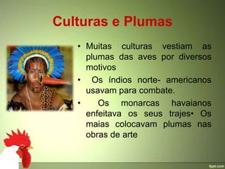 Culturas e Plumas
   • Muitas culturas vestiam as
     plumas das aves por diversos
     motivos
   • Os índios norte- americanos
     usavam para combate.
   •    Os monarcas havaianos
     enfeitava os seus trajes• Os
     maias colocavam plumas nas
     obras de arte
 