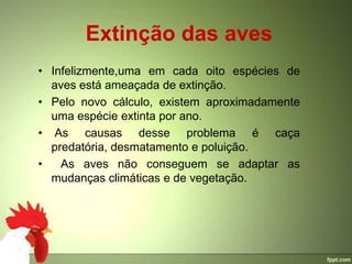 Extinção das aves
• Infelizmente,uma em cada oito espécies de
  aves está ameaçada de extinção.
• Pelo novo cálculo, existem aproximadamente
  uma espécie extinta por ano.
• As causas desse problema é caça
  predatória, desmatamento e poluição.
•   As aves não conseguem se adaptar as
  mudanças climáticas e de vegetação.
 