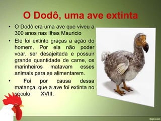 O Dodô, uma ave extinta
• O Dodô era uma ave que viveu a
  300 anos nas Ilhas Mauricio
• Ele foi extinto graças a ação do
  homem. Por ela não poder
  voar, ser desajeitada e possuir
  grande quantidade de carne, os
  marinheiros matavam esses
  animais para se alimentarem.
•     Foi    por     causa   dessa
  matança, que a ave foi extinta no
  século      XVIII.
 