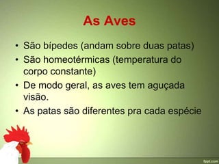 As Aves
• São bípedes (andam sobre duas patas)
• São homeotérmicas (temperatura do
  corpo constante)
• De modo geral, as aves tem aguçada
  visão.
• As patas são diferentes pra cada espécie
 