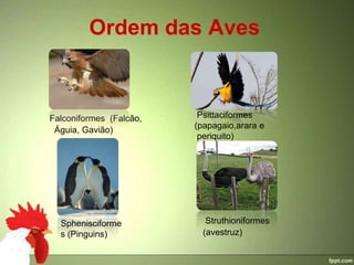 Ordem das Aves



Falconiformes (Falcão,    Psittaciformes
 Águia, Gavião)          (papagaio,arara e
                          periquito)




  Sphenisciforme            Struthioniformes
  s (Pinguins)             (avestruz)
 