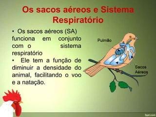 Os sacos aéreos e Sistema
         Respiratório
• Os sacos aéreos (SA)
funciona em conjunto
com o              sistema
respiratório
• Ele tem a função de
diminuir a densidade do
animal, facilitando o voo
e a natação.
 