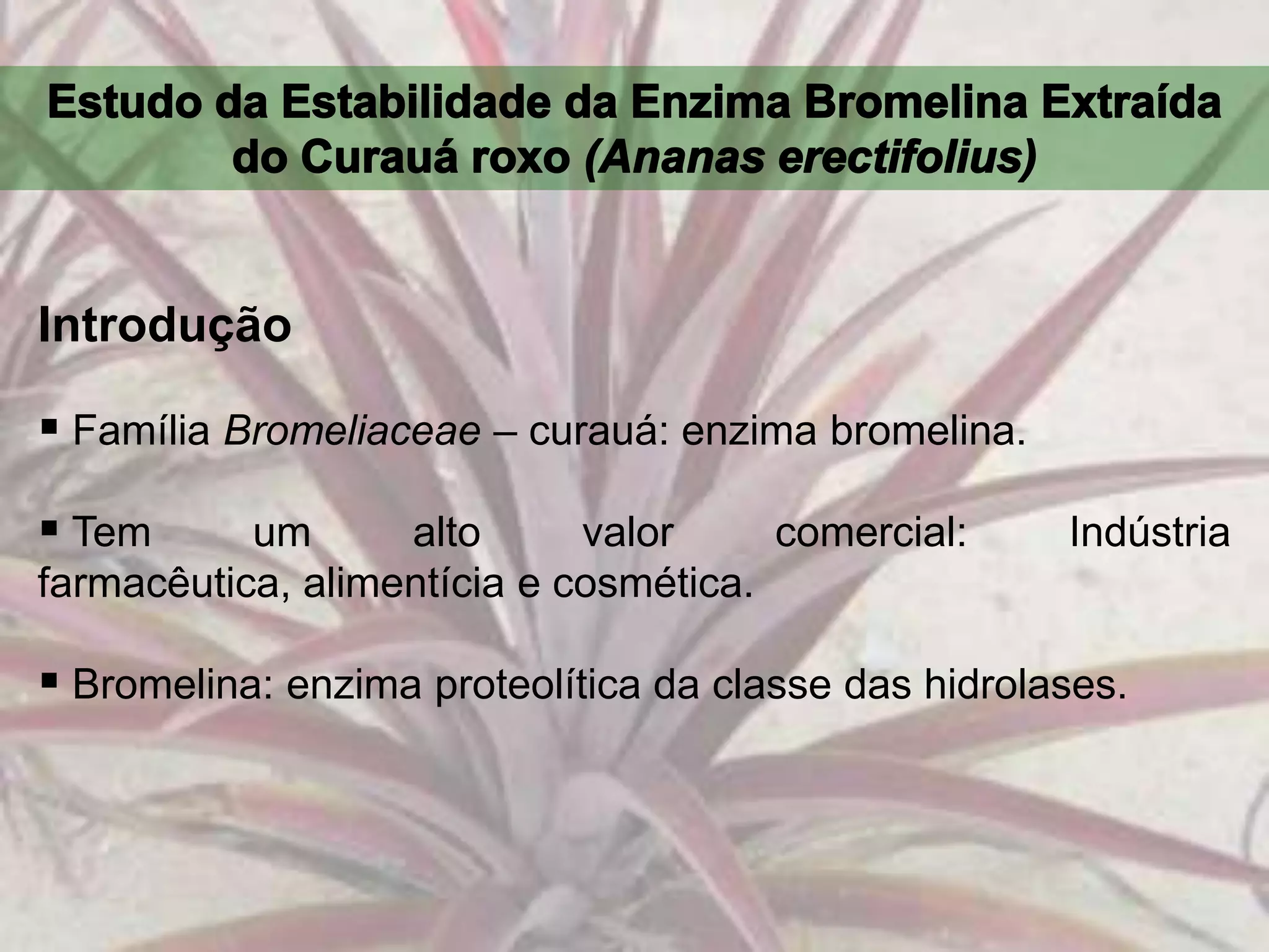 Enzima Bromelina