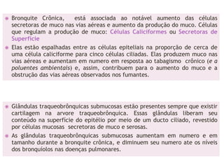    Bronquite Crônica,     está associada ao notável aumento das células
    secretoras de muco nas vias aéreas e aumento da produção do muco. Células
    que regulam a produção de muco: Células Caliciformes ou Secretoras de
    Superfície
   Elas estão espalhadas entre as células epiteliais na proporção de cerca de
    uma célula caliciforme para cinco células ciliadas. Elas produzem muco nas
    vias aéreas e aumentam em numero em resposta ao tabagismo crônico (e a
    poluentes ambientais) e, assim, contribuem para o aumento do muco e a
    obstrução das vias aéreas observados nos fumantes.




   Glândulas traqueobrônquicas submucosas estão presentes sempre que existir
    cartilagem na arvore traqueobrônquica. Essas glândulas liberam seu
    conteúdo na superfície do epitélio por meio de um ducto ciliado, revestido
    por células mucosas secretoras de muco e serosas.
   As glândulas traqueobrônquicas submucosas aumentam em numero e em
    tamanho durante a bronquite crônica, e diminuem seu numero ate os níveis
    dos bronquíolos nas doenças pulmonares.
 