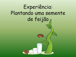 Experiência:
Plantando uma semente
       de feijão
 