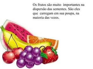 Os frutos são muito importantes na
dispersão das sementes. São eles
que carregam em sua poupa, na
maioria das vezes.
 