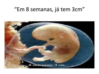 “Em 8 semanas, já tem 3cm”

    do
 