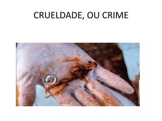 CRUELDADE, OU CRIME
 