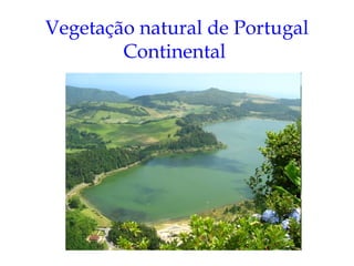 Vegetação natural de Portugal
        Continental
 