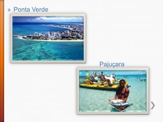 » Ponta Verde




                Pajuçara
 