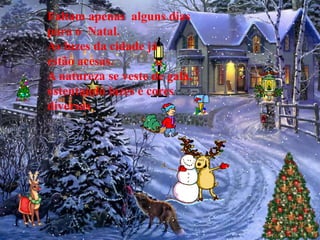 Faltam apenas alguns dias
para o Natal.
As luzes da cidade já
estão acesas.
A natureza se veste de gala,
ostentando luzes e cores
diversas
 