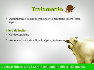 Tratamento
• Administração de antimicrobianos via parenteral ou em forma
  tópica;

Início da lesão:
• Corticosteroides;
• Antimicrobianos de aplicação tópica,diariamente.
 
