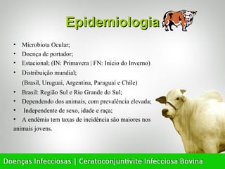 Epidemiologia
• Microbiota Ocular;
• Doença de portador;
• Estacional; (IN: Primavera | FN: Início do Inverno)
• Distribuição mundial;
   (Brasil, Uruguai, Argentina, Paraguai e Chile)
• Brasil: Região Sul e Rio Grande do Sul;
• Dependendo dos animais, com prevalência elevada;
• Independente de sexo, idade e raça;
• A endêmia tem taxas de incidência são maiores nos
animais jovens.
 