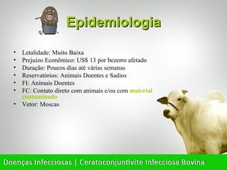 Epidemiologia
• Letalidade: Muito Baixa
• Prejuízo Econômico: US$ 13 por bezerro afetado
• Duração: Poucos dias até várias semanas
• Reservatórios: Animais Doentes e Sadios
• FI: Animais Doentes
• FC: Contato direto com animais e/ou com material
  contaminado
• Vetor: Moscas
 