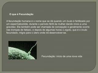 O que é Fecundação

A fecundação humana é o nome que se dá quando um óvulo é fertilizado por
um espermatozóide, durante o período fértil da mulher dando início a uma
gravidez. Ela também pode ser chamada de concepção e geralmente ocorre
nas trompas de falópio, e depois de algumas horas o zigoto, que é o óvulo
fecundado, migra para o útero onde irá desenvolver-se.




                              Fecundação: início de uma nova vida
 