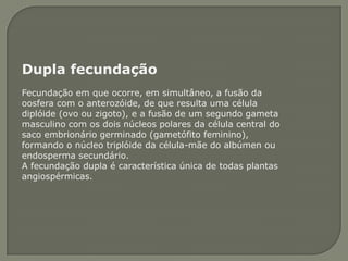 Dupla fecundação
Fecundação em que ocorre, em simultâneo, a fusão da
oosfera com o anterozóide, de que resulta uma célula
diplóide (ovo ou zigoto), e a fusão de um segundo gameta
masculino com os dois núcleos polares da célula central do
saco embrionário germinado (gametófito feminino),
formando o núcleo triplóide da célula-mãe do albúmen ou
endosperma secundário.
A fecundação dupla é característica única de todas plantas
angiospérmicas.
 