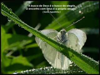 "A busca de Deus é a busca da alegria.
O encontro com Deus é a própria alegria."
             ( Santo Agostinho )
 