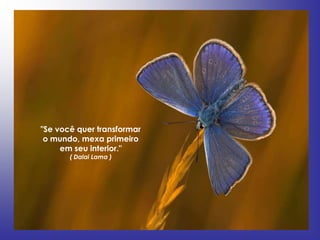 "Se você quer transformar
 o mundo, mexa primeiro
     em seu interior."
       ( Dalai Lama )
 