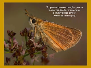 "É apenas com o coração que se
   pode ver direito; o essencial
      é invisível aos olhos."
     ( Antoine de Saint Exupéry )
 
