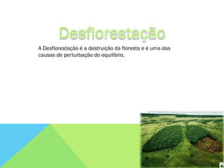 A Desflorestação é a destruição da floresta e é uma das
causas de perturbação do equilíbrio.
 