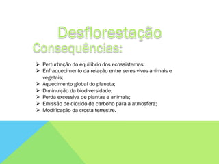  Perturbação do equilíbrio dos ecossistemas;
 Enfraquecimento da relação entre seres vivos animais e
  vegetais;
 Aquecimento global do planeta;
 Diminuição da biodiversidade;
 Perda excessiva de plantas e animais;
 Emissão de dióxido de carbono para a atmosfera;
 Modificação da crosta terrestre.
 