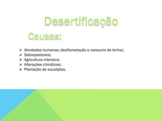    Atividades humanas (desflorestação e consumo de lenha);
   Sobrepastoreio;
   Agricultura intensiva;
   Alterações climáticas;
   Plantação de eucaliptos.
 