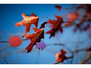 yq5hq3h55h
Ryb nq3tq3 r