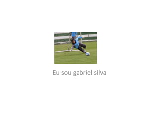 Eu sou gabriel silva
 