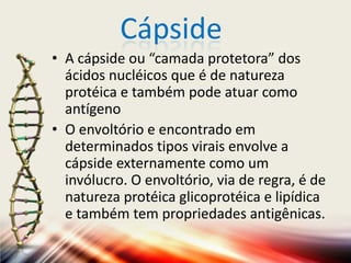 Cápside
• A cápside ou “camada protetora” dos
  ácidos nucléicos que é de natureza
  protéica e também pode atuar como
  antígeno
• O envoltório e encontrado em
  determinados tipos virais envolve a
  cápside externamente como um
  invólucro. O envoltório, via de regra, é de
  natureza protéica glicoprotéica e lipídica
  e também tem propriedades antigênicas.
 