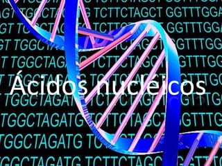 Ácidos nucléicos
 