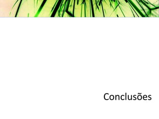 Conclusões
 