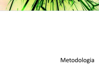 Metodologia
 