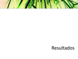 Resultados
 