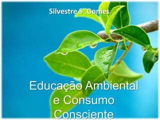 Silvestre S .Gomes




Educação Ambiental
   e Consumo
    Consciente
 