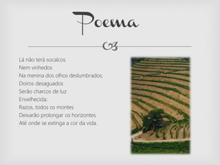 
Lá não terá socalcos
Nem vinhedos
Na menina dos olhos deslumbrados;
Doiros desaguados
Serão charcos de luz
Envelhecida;
Razos, todos os montes
Deixarão prolongar os horizontes
Até onde se extinga a cor da vida.
Poema
 